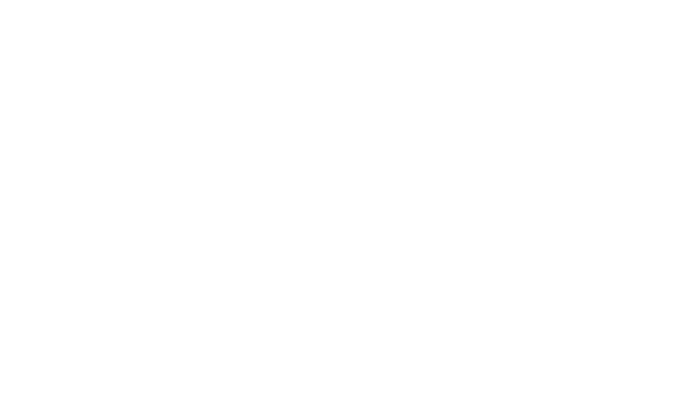 Capstone Trading Inc. logo