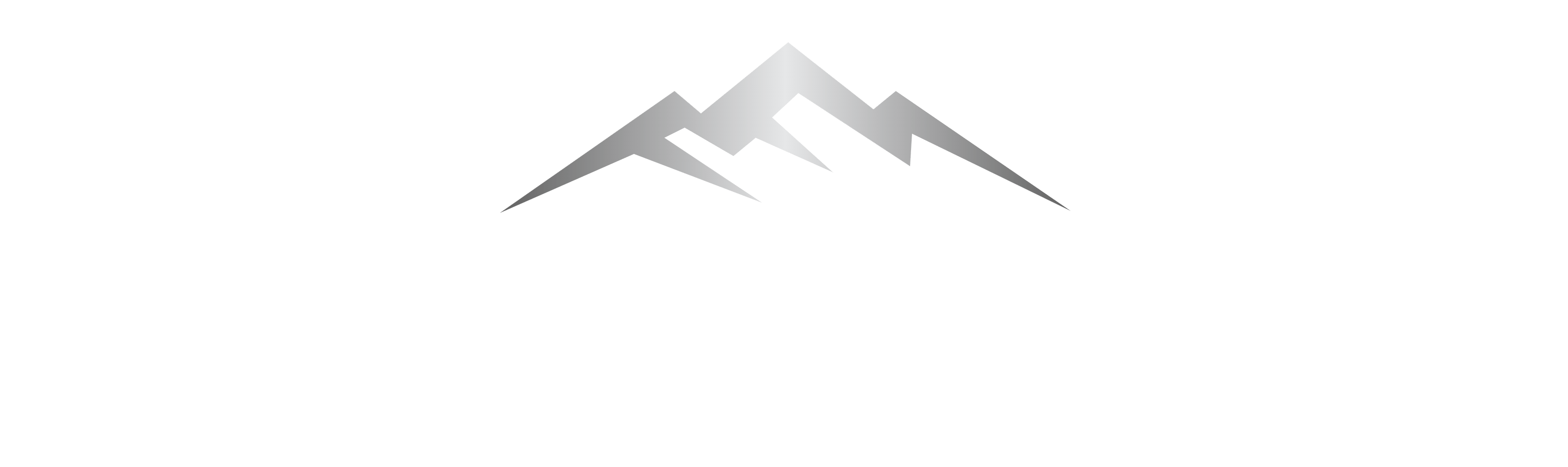 Silver Valley Management logo
