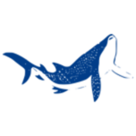 VICI Holdings logo