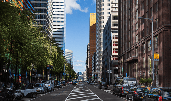 Office towers along a tree-lined avenue in the Zuidas business district of Amsterdam